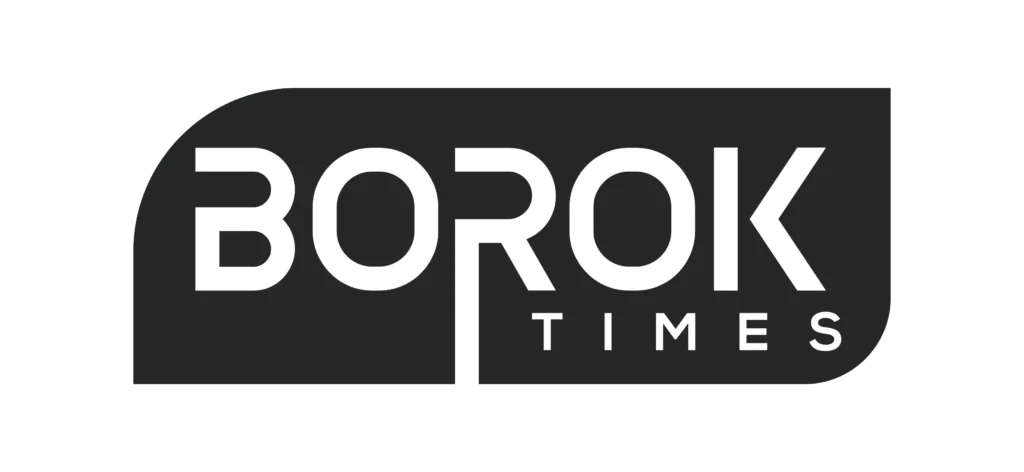 borok times logo